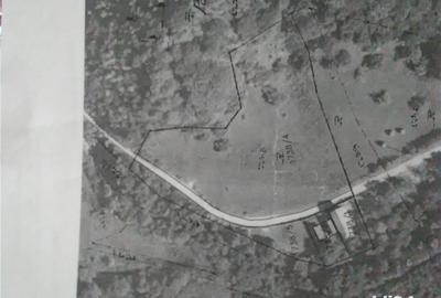 Teren de 5500 mp, în Pietroasa - 2