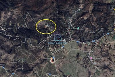 Teren de 3007 mp, în Seciu - 3
