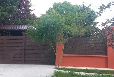 Casă cu 13 camere cu Teren 1410 Mp în Dumbrăvița - 1