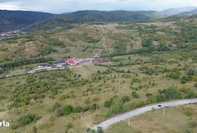 Spațiu comercial, în Berevoești - 1