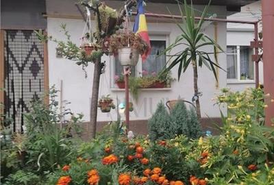 IOSEFIN - 3 CAM - CURTE - BOXA - 2 BAI - CENTRALA - ZONA EXCELENTA IOSEFIN - 3 CAM - CURTE - BOXA - 2 BAI - CENTRALA - ZONA EXCELENTA - 9