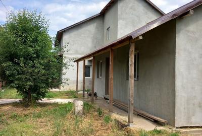 Casă cu 5 camere cu Teren 1900 Mp în Radu Vodă - 1