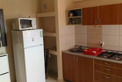 Apartament cu 2 camere decomandat, mobilat în Ultracentral - 3