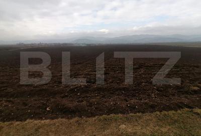 Teren extravilan 21300 mp zona Vintu de Jos - 4