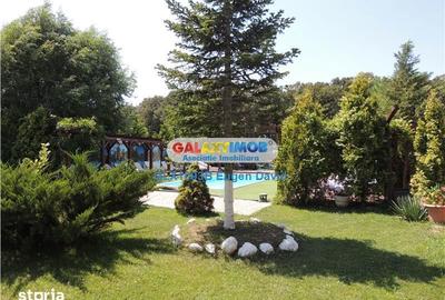 Spațiu comercial, de 4,000 mp, în Snagov - 1