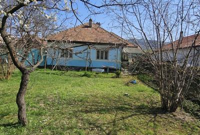 Casă individuală cu 4 camere cu Teren 2904 Mp în Dărmănești - 1