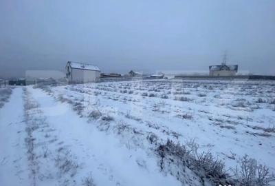 Teren în Burdujeni - 2