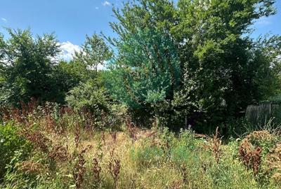 Teren Construcții intravilan de 16534 mp, în Siliștea Snagovului - 7