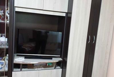 Apartament cu 2 camere semidecomandat în Botizului - 4