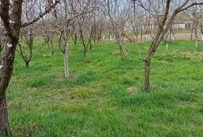 Casă cu 2 camere în Cermei - 8