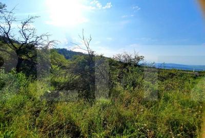 Teren de 3300 mp, în Central - 7