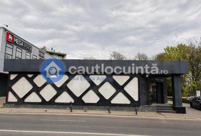 Spațiu comercial, de 165 mp, în Herăstrău - 1