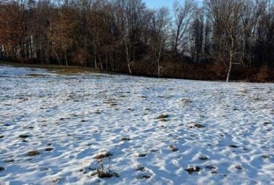 Teren de 9100 mp, în Central