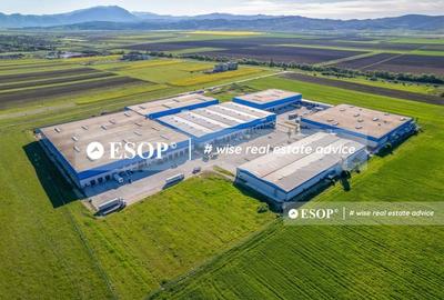 Spațiu industrial, de 6,367 mp, în Cristian - 1