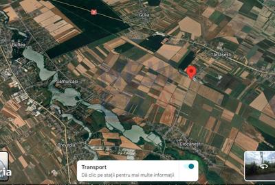 Spațiu comercial, în Ciocănești - 7