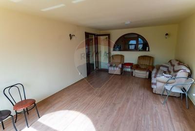 Vila /Pensiune 6 camere in Cristur, jud Hunedoara - 19