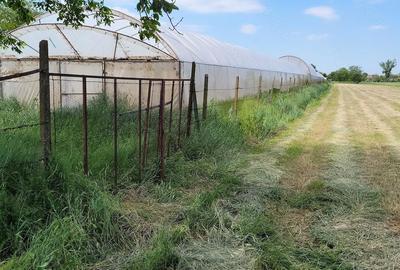 Teren de 4332 mp, în Fughiu - 10