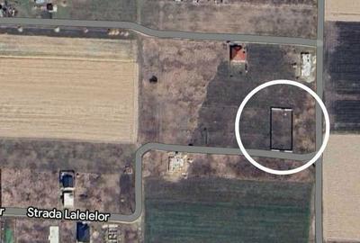 Teren de 1000 mp, în Cihei - 2