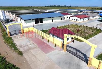Spațiu comercial, de 25,000 mp, în Sud-Vest - 10