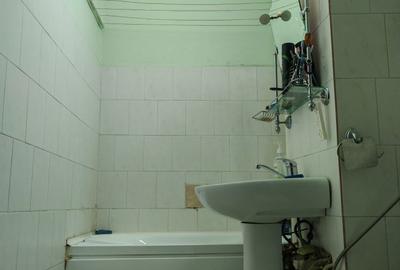 Apartament cu 3 camere decomandat în Nufărul - 8