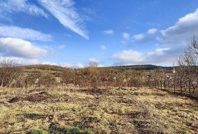 Casă cu 3 camere cu Teren 2000 Mp în Laslău Mare - 7