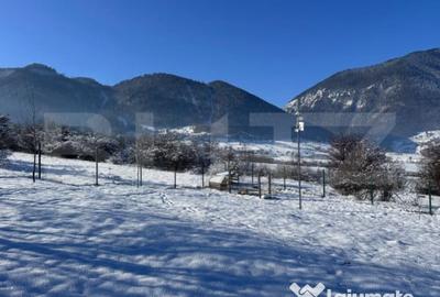 Teren de 1000 mp, în Tohănița - 3