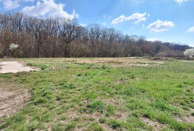 Teren Construcții intravilan de 707 mp, în Dumbrăvița - 1