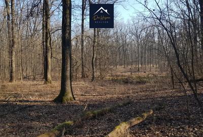 3 Ha Padurea Baneasa ZOO - Pipera - Schimb sau RATE - 5