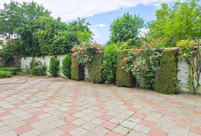 Spațiu comercial, de 617 mp, în Alexandriei - 29