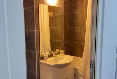 Garsonieră decomandată în Dristor - 7