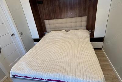 De vanzare apartament cu o camera in zona Aradului - 2