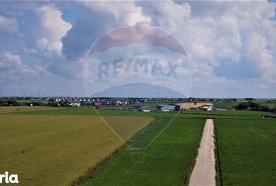 Teren Construcții intravilan de 9400 mp, în Nuci - 3