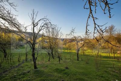 Teren de 9066 mp, în Central - 9