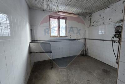 Casa de vanzare / Spatiu productie cu 12+ camere - 16