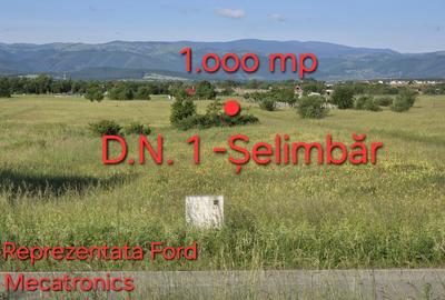 Spațiu comercial, în Șelimbăr - 8
