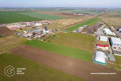 Teren extravilan, 20000 mp, Sanleani - 5