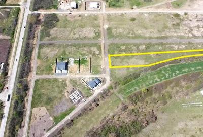 Teren de 557 mp, în Buziașului - 5