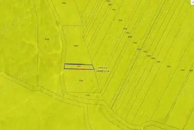 Teren extravilan Sotanga, ID: R2590381 - 1