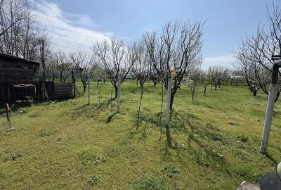 Casă cu 3 camere cu Teren 3000 Mp în Rasa - 6