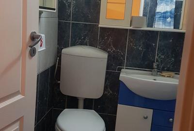 Garsonieră, mobilată în Terezian - 13