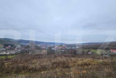 Teren intravilan 4756 mp de vanzare in Livezeni - 1