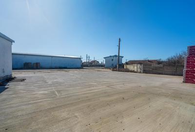 Spațiu industrial, de 650 mp, în Săcălaz - 6