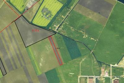 Teren de 80000 mp, în Lugoj - 3