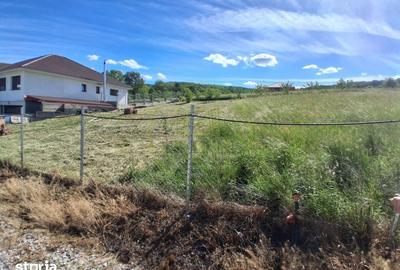 Teren de 700 mp, în Baciu - 2