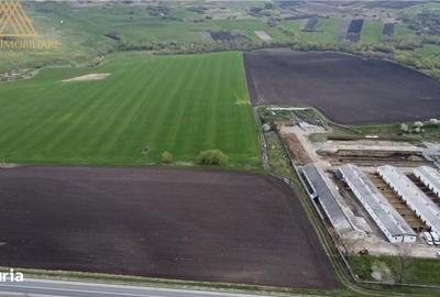 Spațiu comercial, în Ilișești - 6