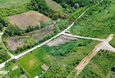 Teren de 4000 mp, în Bârnova - 2