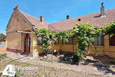 Casă cu 4 camere cu Teren 1459 Mp în Secusigiu - 14