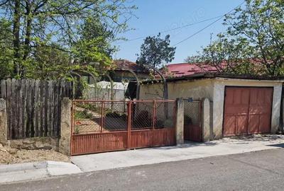 Casă cu 5 camere cu Teren 3937 Mp în Ianca - 3