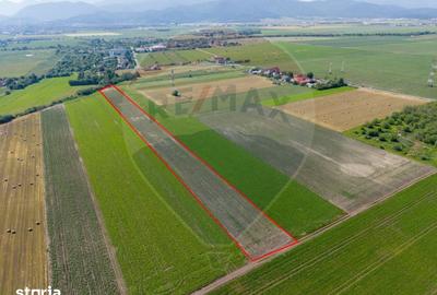 Teren de 11500 mp, în Central - 5