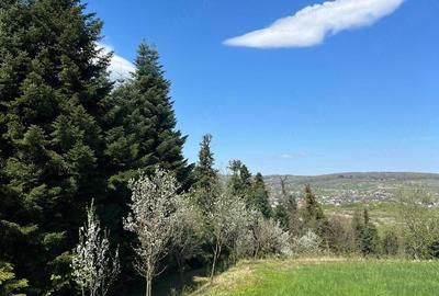 Teren de 2100 mp, în Putna - 3